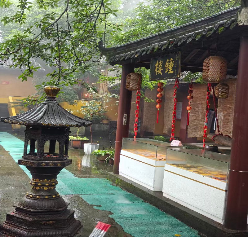 1762761344941617.jpg 5.jpg